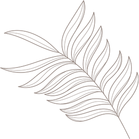 leaf-shape