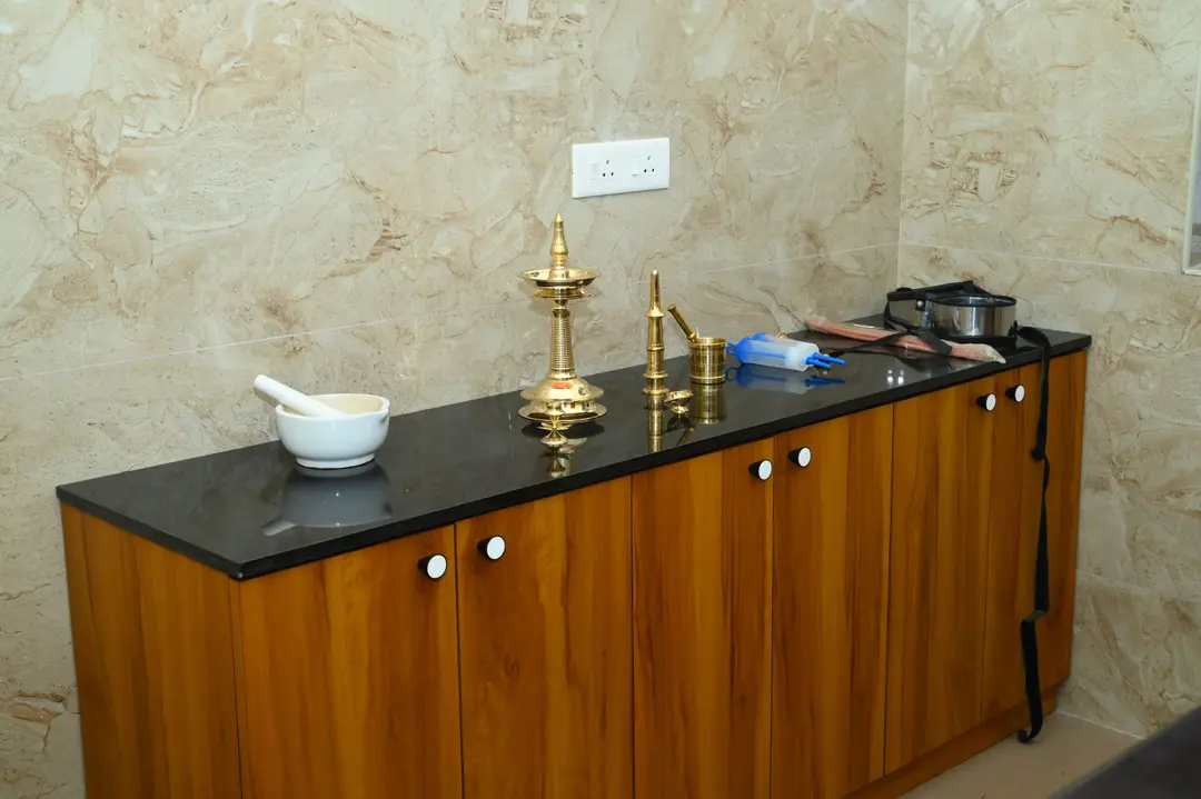 Panchakarma Facilities